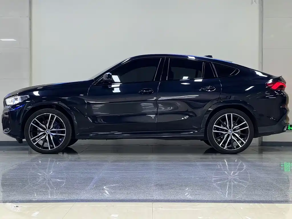BMW X6 — миниатюра 4