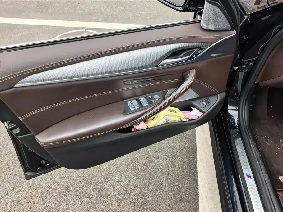 BMW 5 Series 5 2020 530Li Executive Luxury