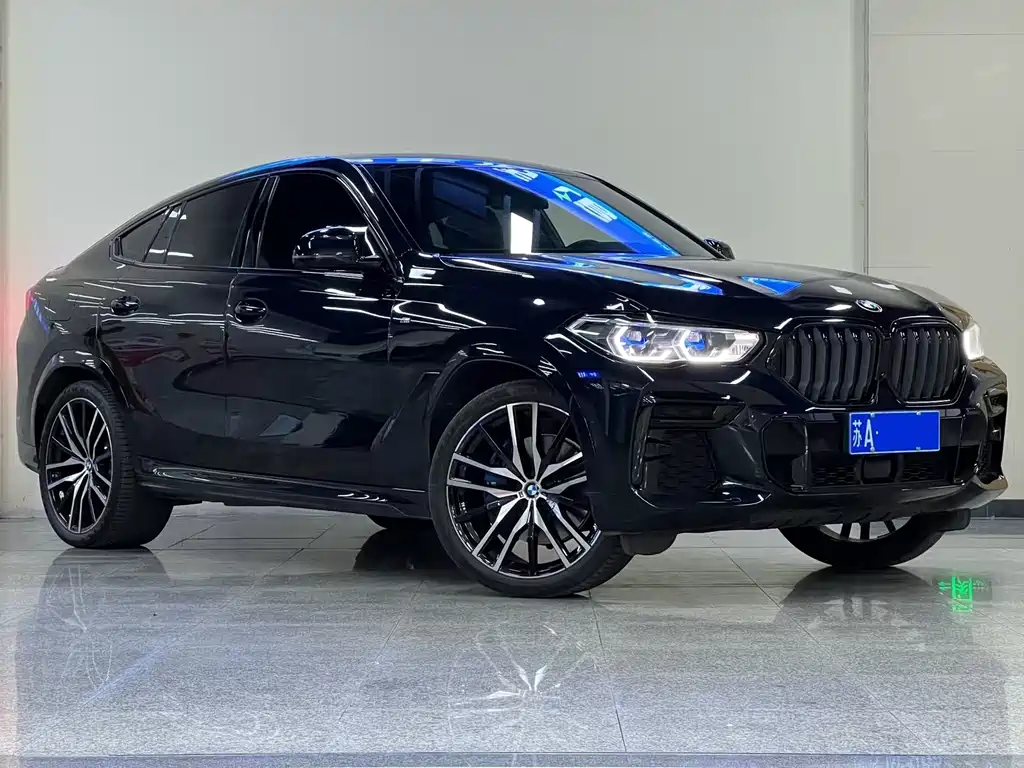 BMW X6 — миниатюра 3