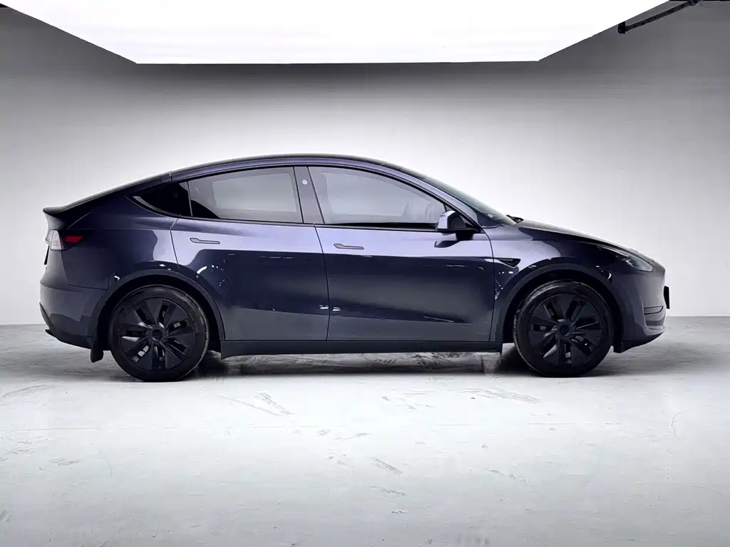 Tesla Model Y — миниатюра 15