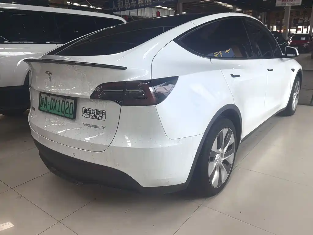 Tesla Model Y — миниатюра 7