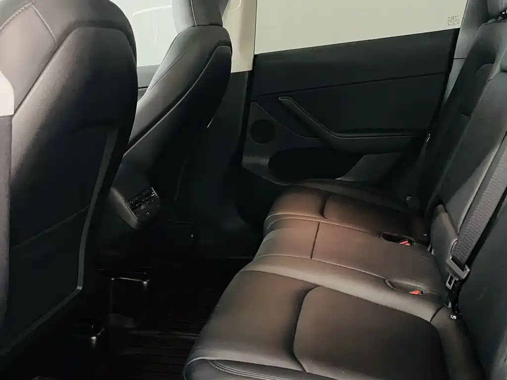Tesla Model Y — миниатюра 10