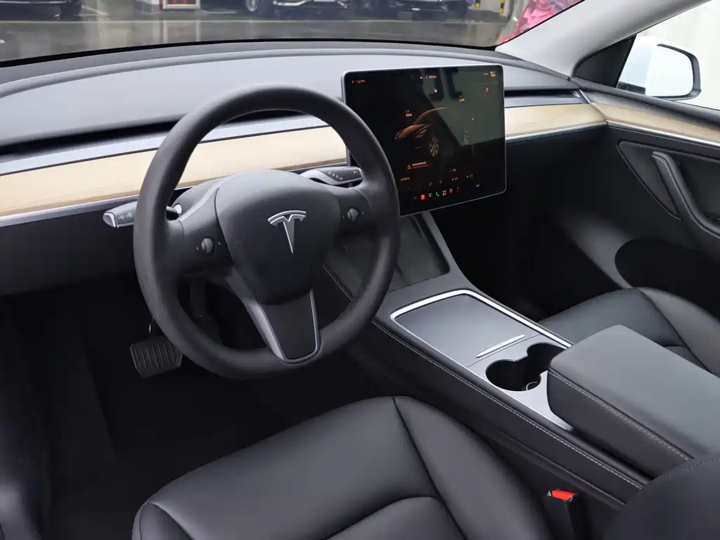 Tesla Model Y — миниатюра 6