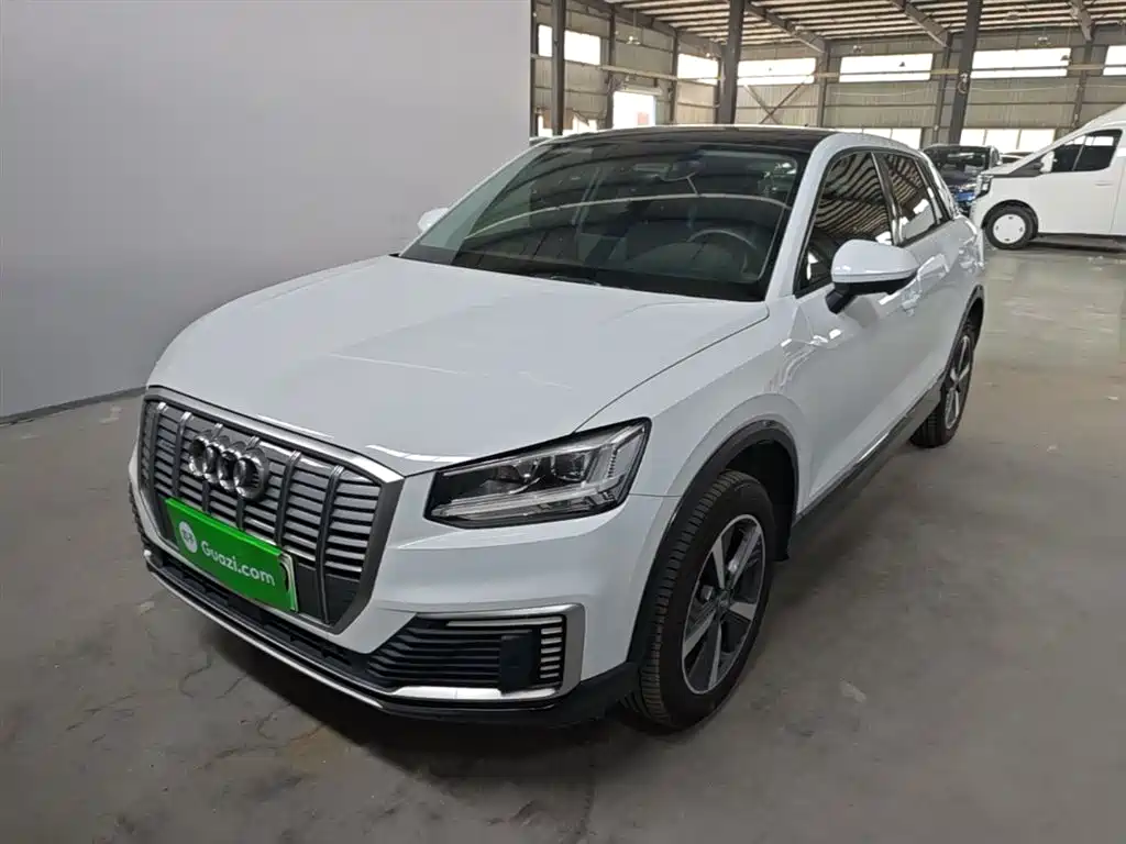 Audi Q2L e-tron 2021