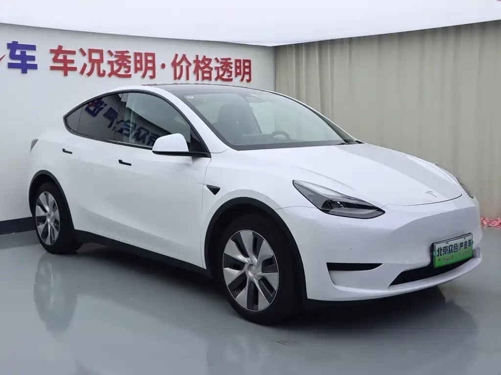 Tesla Model Y — миниатюра 2
