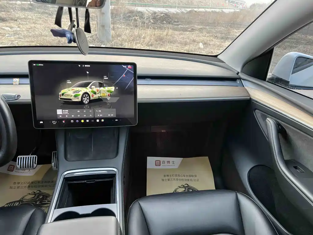 TESLA MODEL Y