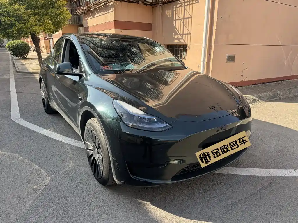Tesla Model Y — миниатюра 3