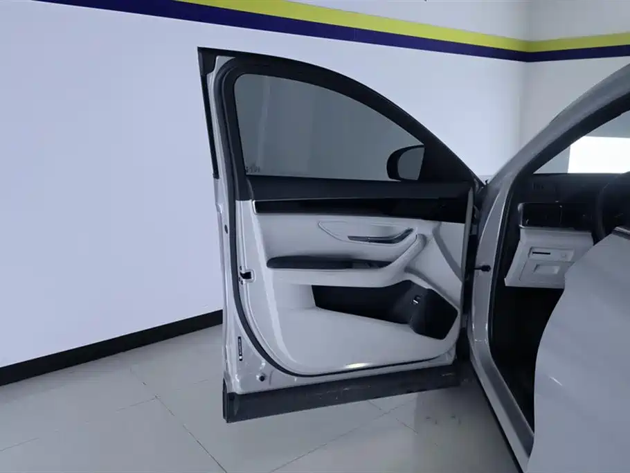 BYD Song Plus PLUS 2024 DM-i 110km Flagship