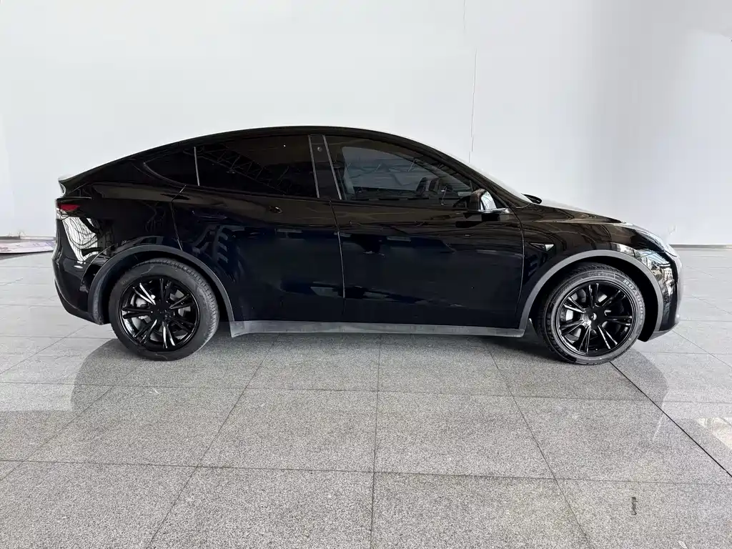 Tesla Model Y — миниатюра 3
