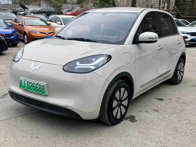 WULING WULING BINGGUO 2024