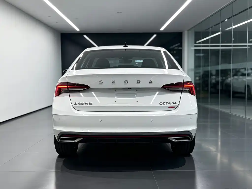 Skoda Octavia — миниатюра 6