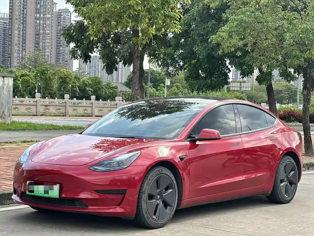 Tesla Model 3 2021