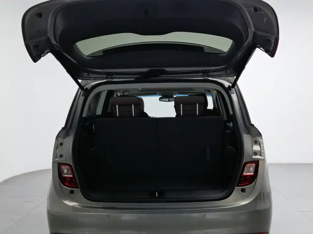 Buick GL6 — миниатюра 16