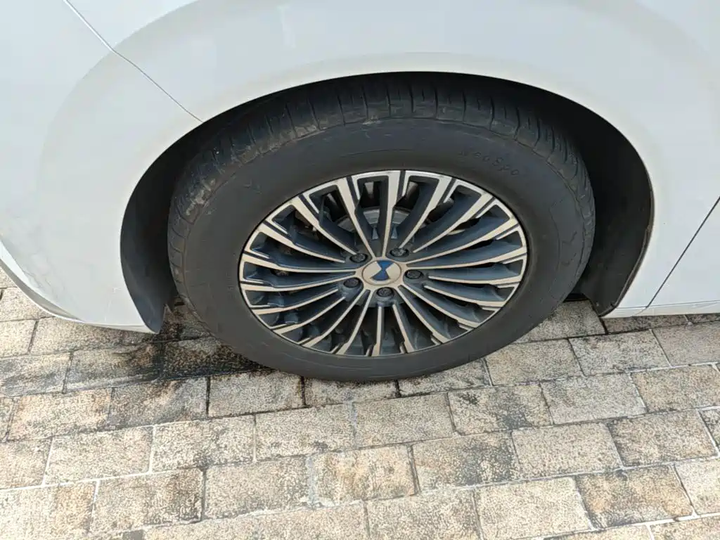 Denza Denza D9 — миниатюра 23