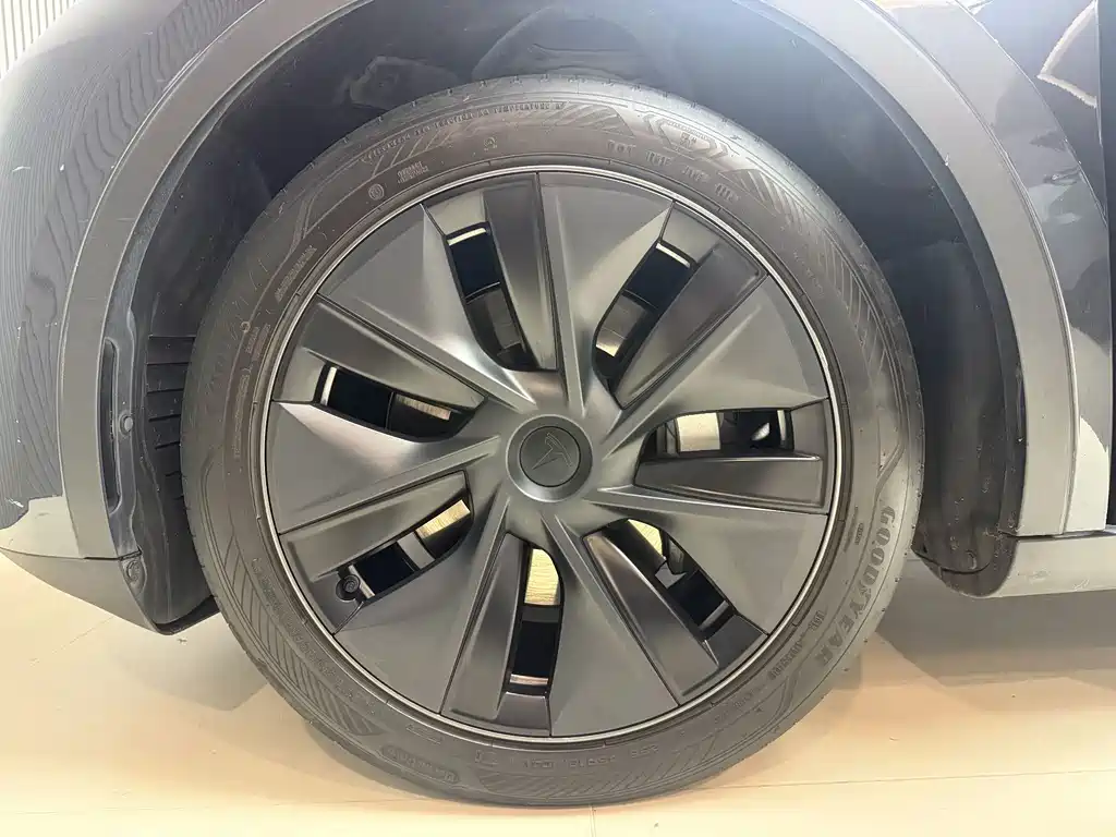 Tesla Model Y — миниатюра 14