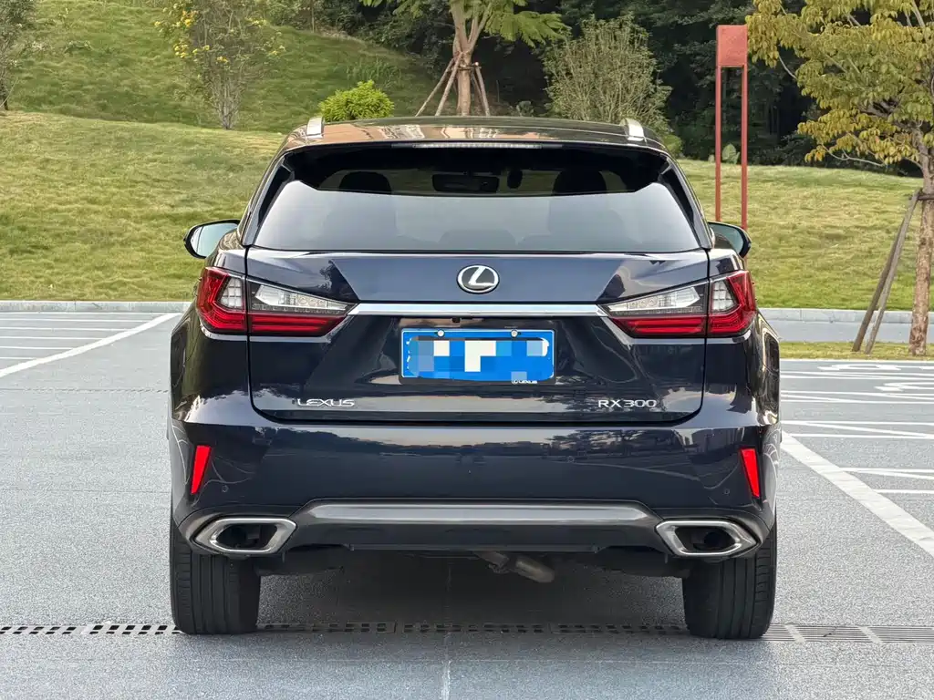Lexus RX — миниатюра 6