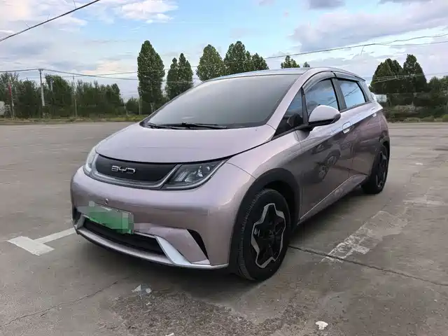 BYD DOLPHIN 2023