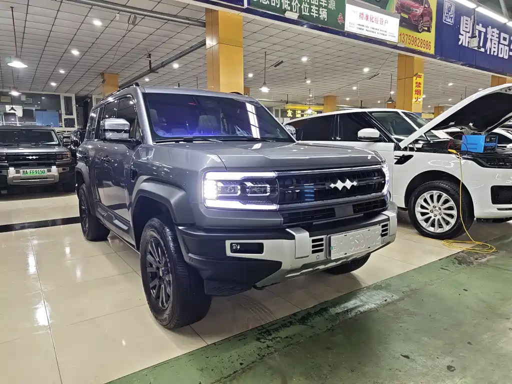 FANG CHENG BAO LEOPARD 5