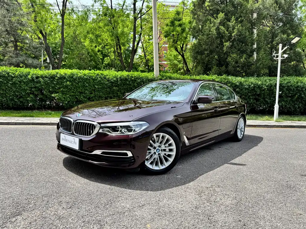 BMW 5 Series New Energy 2019