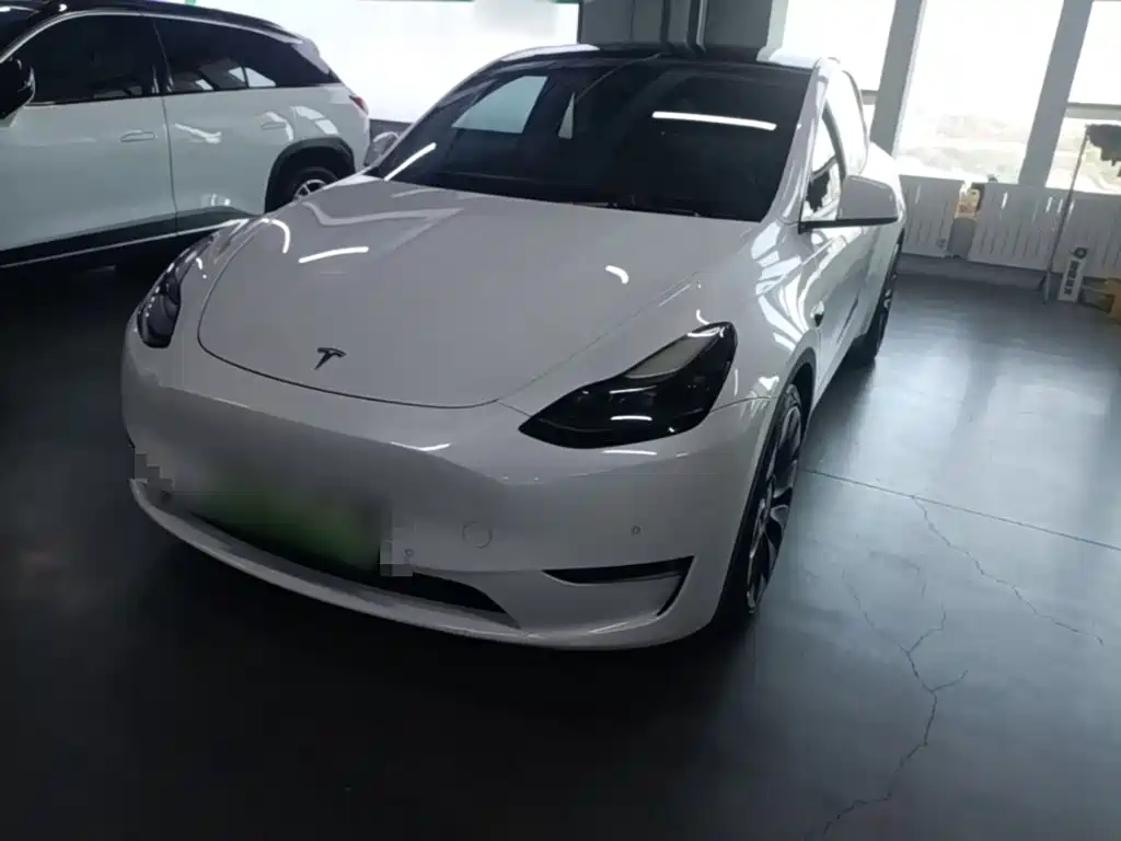 Tesla Model Y — миниатюра 2