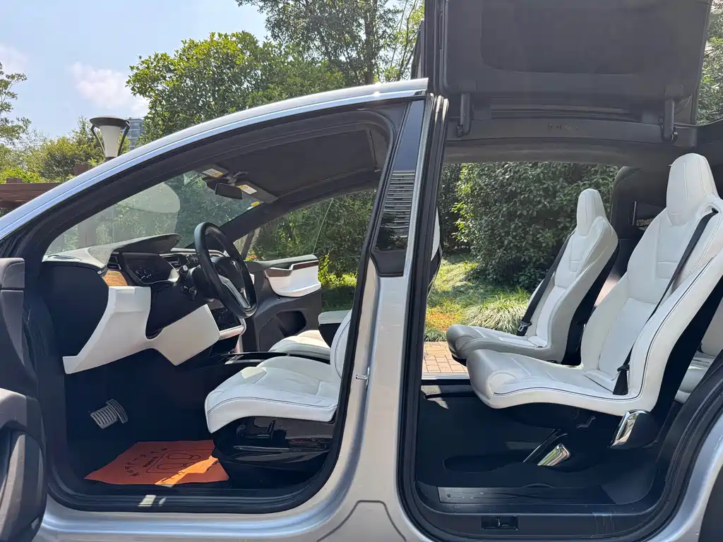 Tesla Model X — миниатюра 7