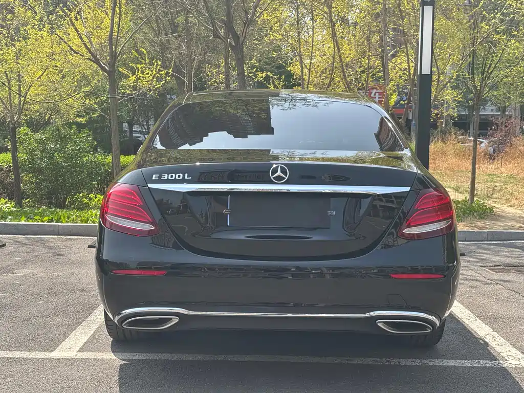 Mercedes-Benz E-Class E 2019 E 300 L Luxury