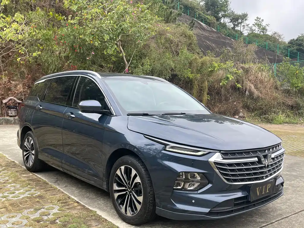 WULING WULING CAPGEMINI