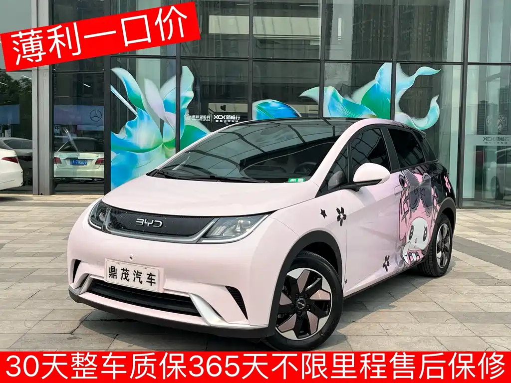 Byd Dolphin 2024
