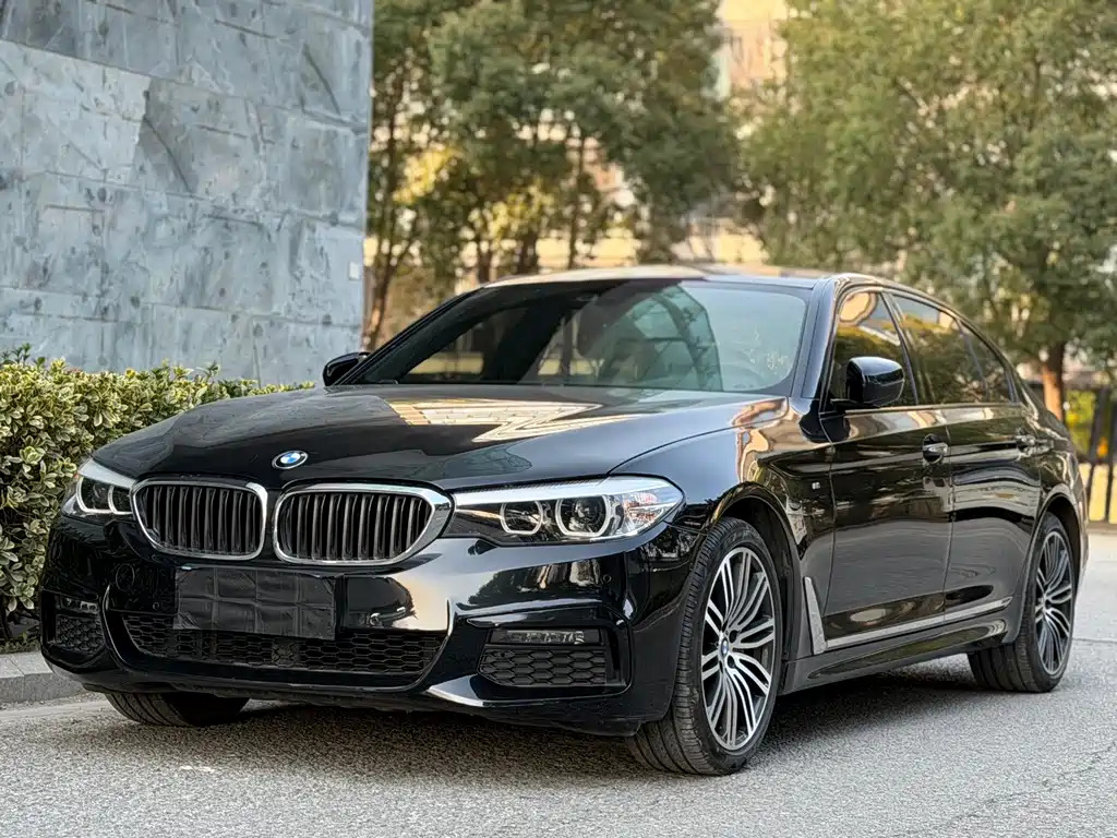 BMW 5 SERIES