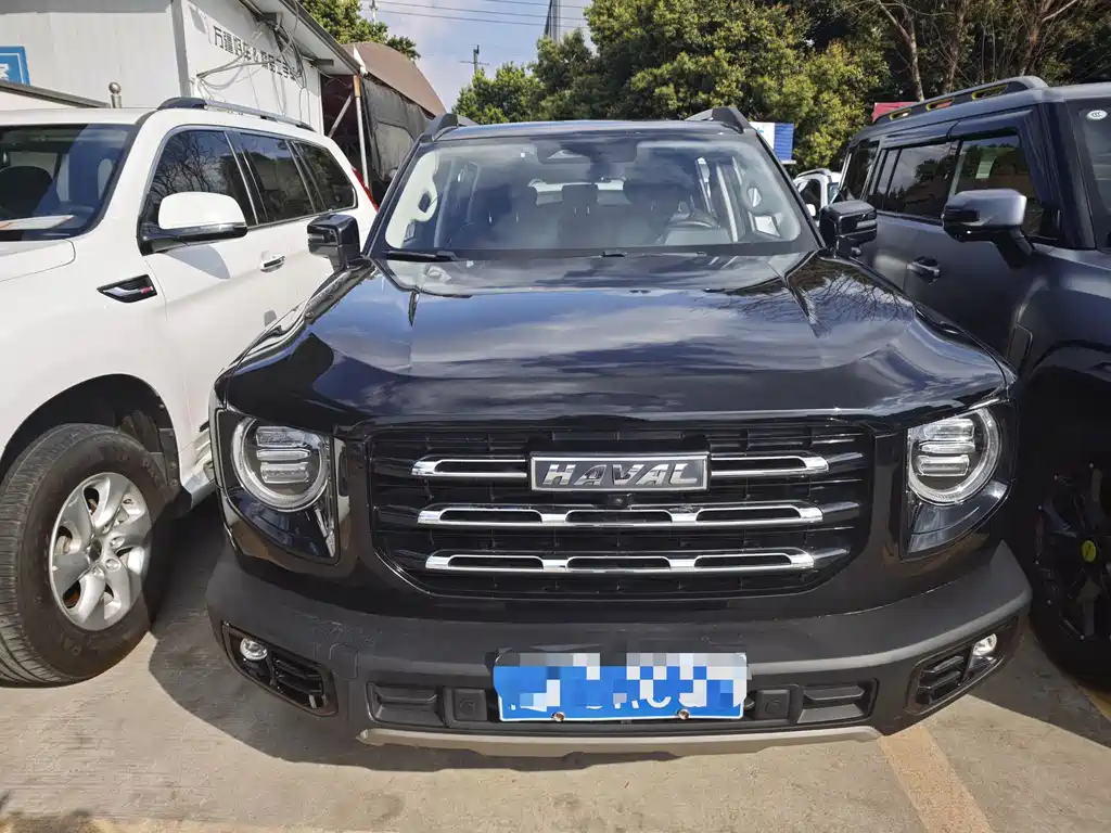 HAVAL BIG DOG
