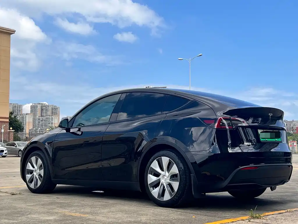 Tesla Model Y — миниатюра 10