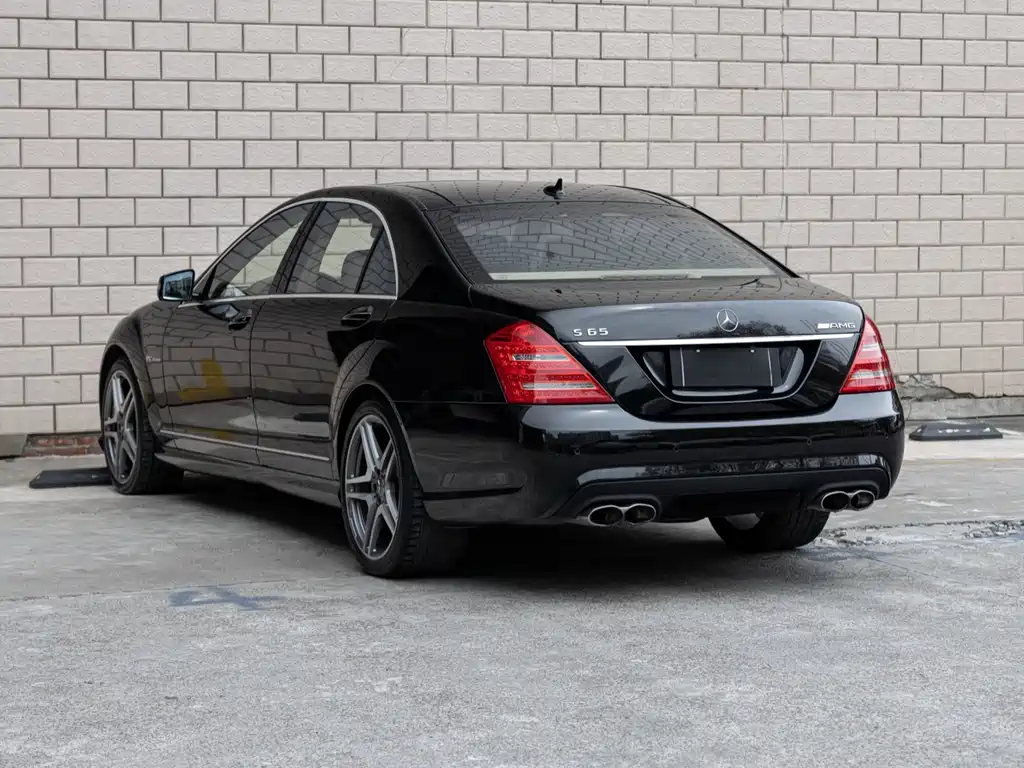 Mercedes-Benz S-Class A MG S AMG 2010 AMG S 65