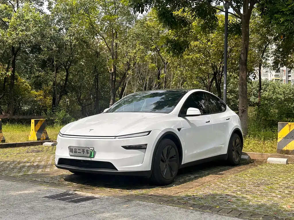 Tesla Model Y — фотографии объявления, Фото 2