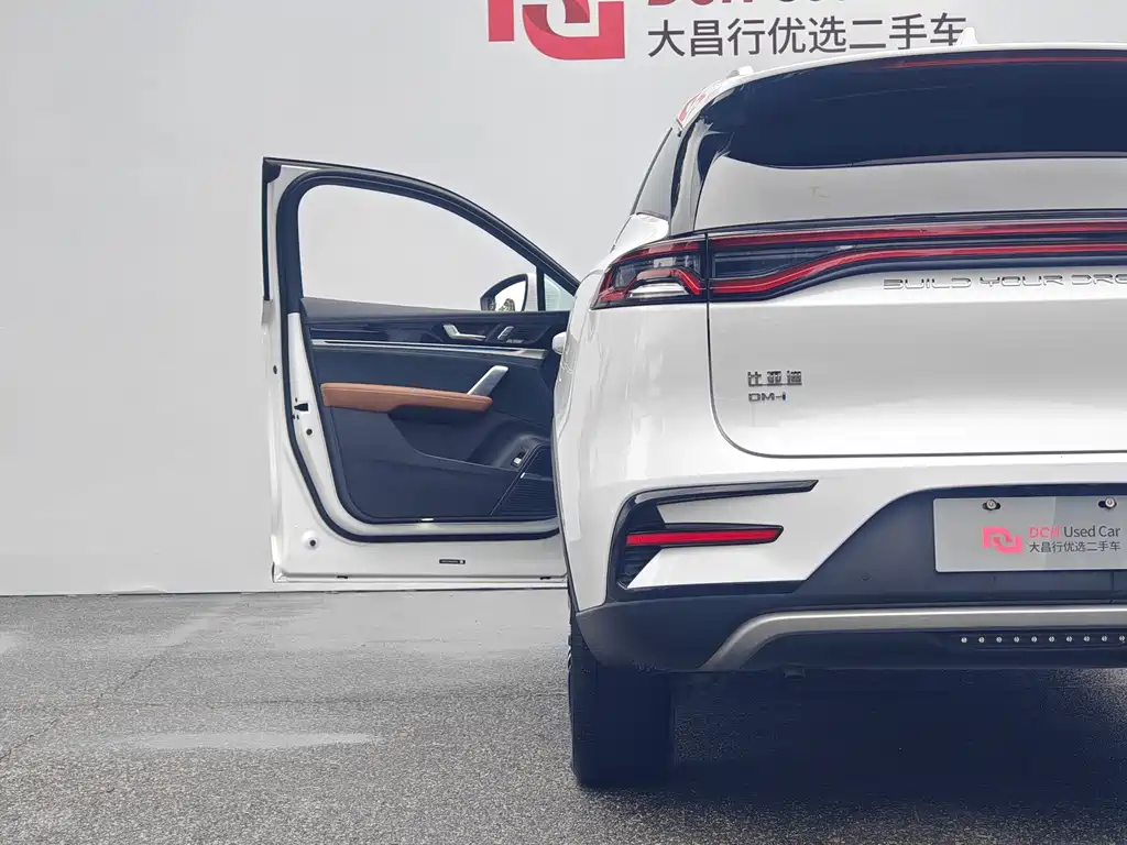 BYD Tang New Energy — миниатюра 10