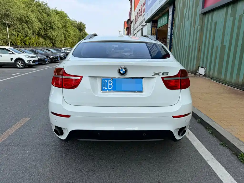 BMW X6 — миниатюра 12