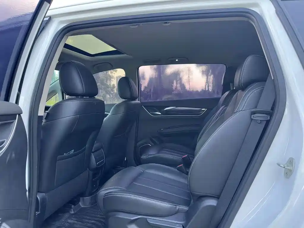BYD Song MAX 1.5T Auto Connected Wise Comfort Sunroof Type 6 seats China VI, фото 6