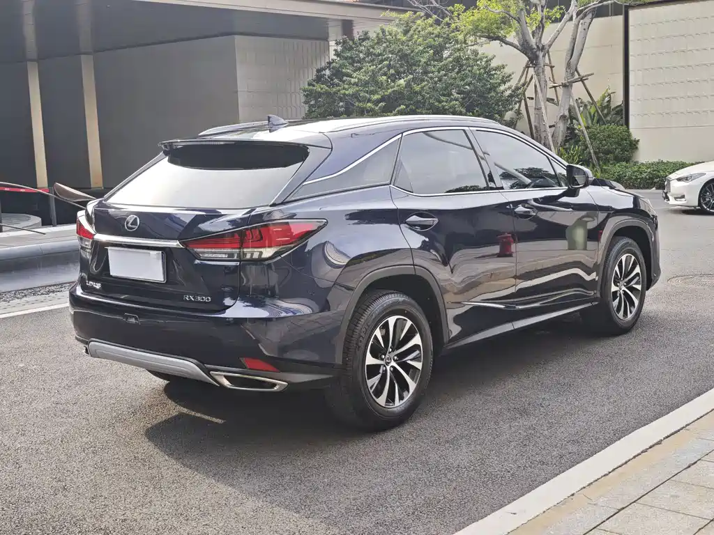Lexus RX 2020 300 Elite