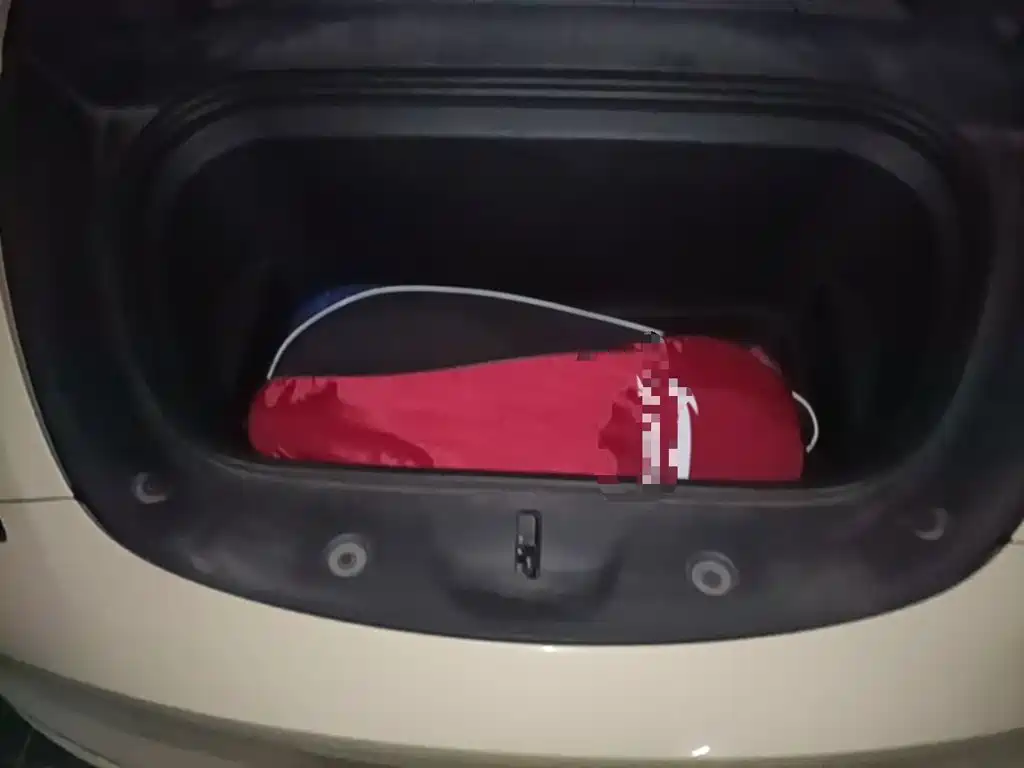 Tesla Model Y — миниатюра 11