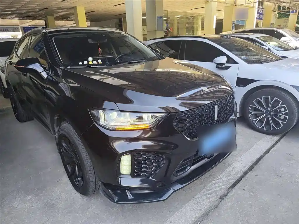 WEI PAI WEI BRAND VV5