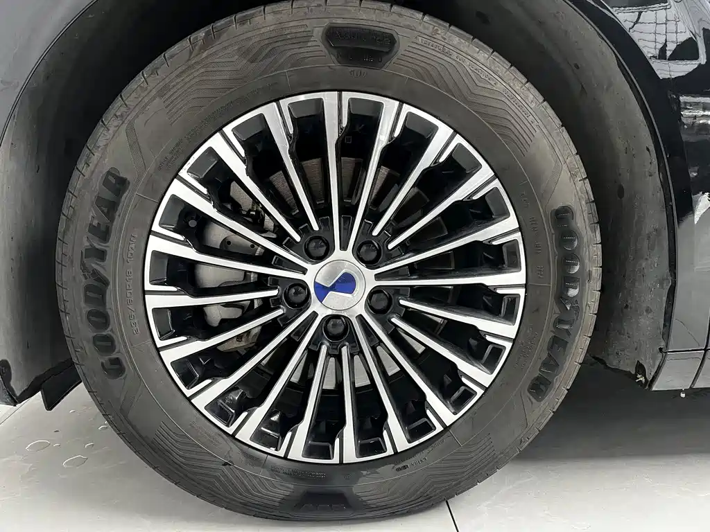 Denza Denza D9 — миниатюра 15