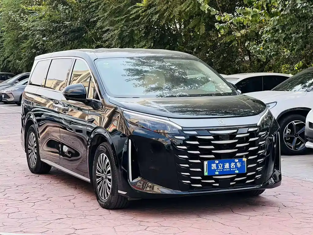 BYD Xia - фото 3