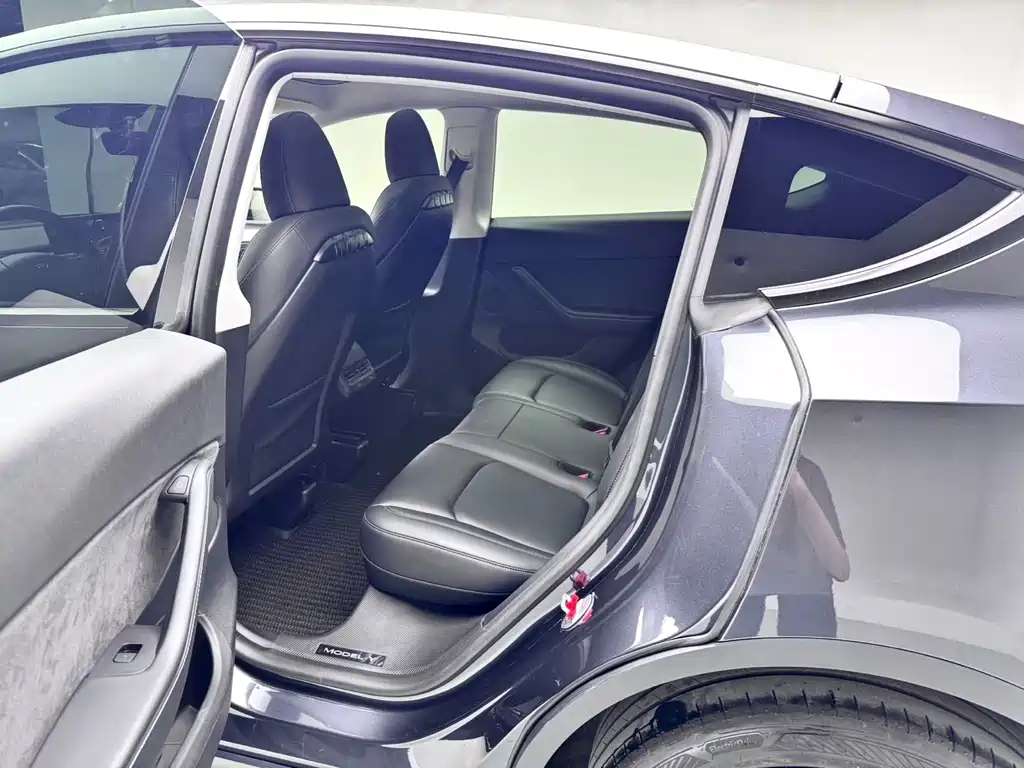 Tesla Model Y — миниатюра 11