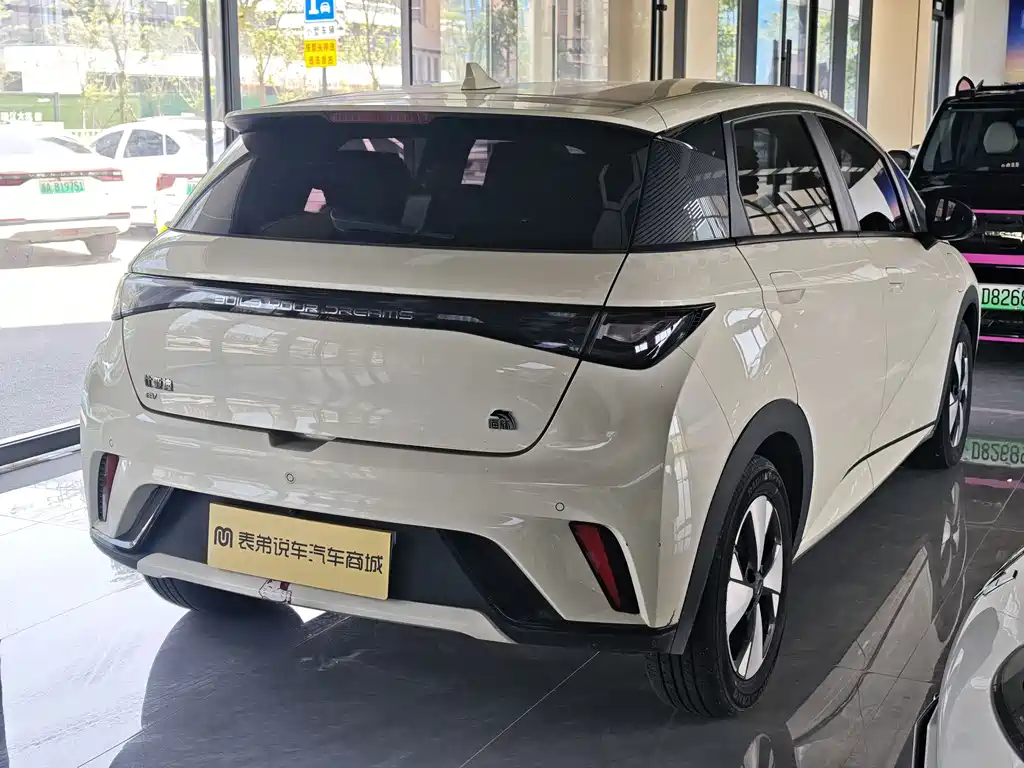 BYD Dolphin 2023 420km Fashion