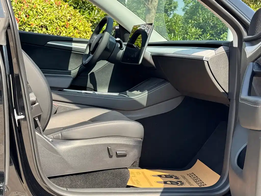 Tesla Model Y — миниатюра 17