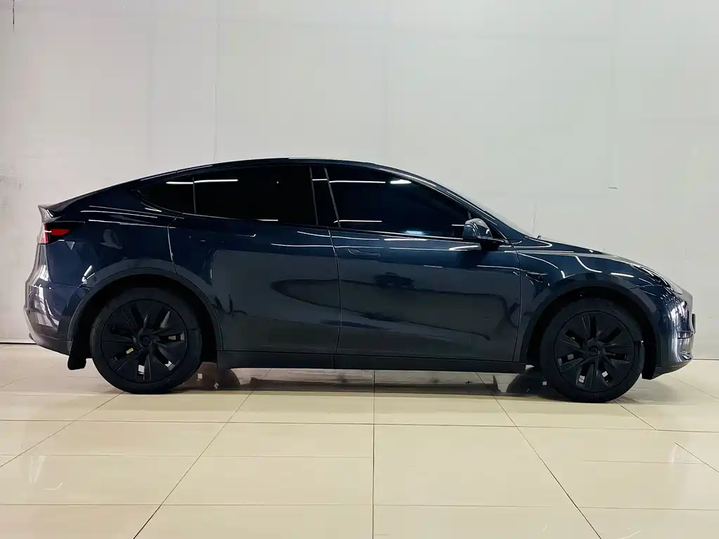 Tesla Model Y — миниатюра 4