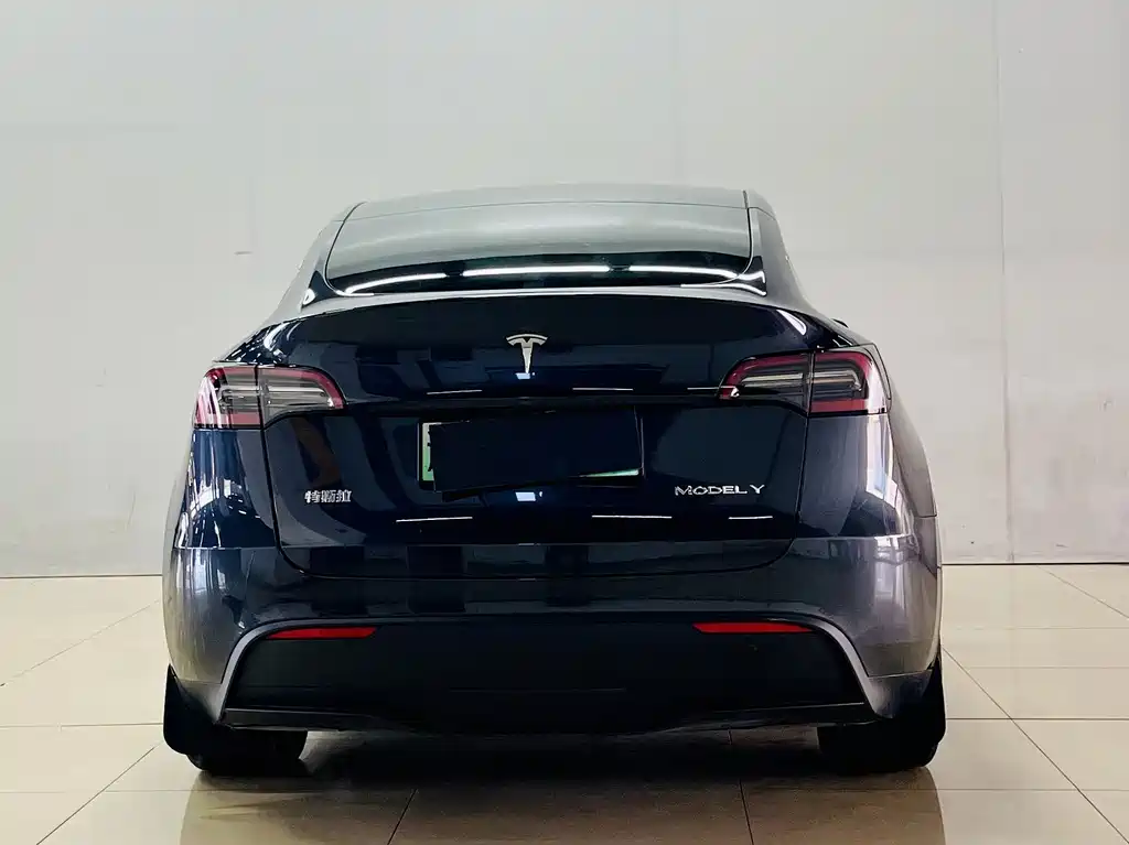 Tesla Model Y — миниатюра 7