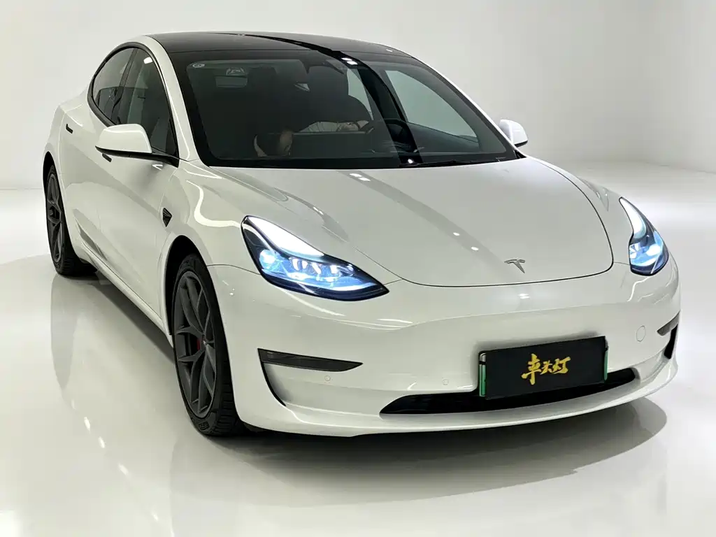 Tesla Model 3 — миниатюра 3