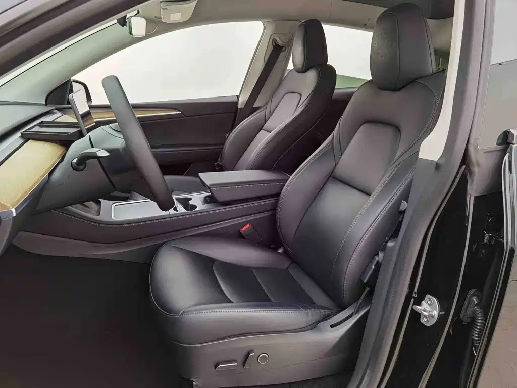 Tesla Model Y — миниатюра 4