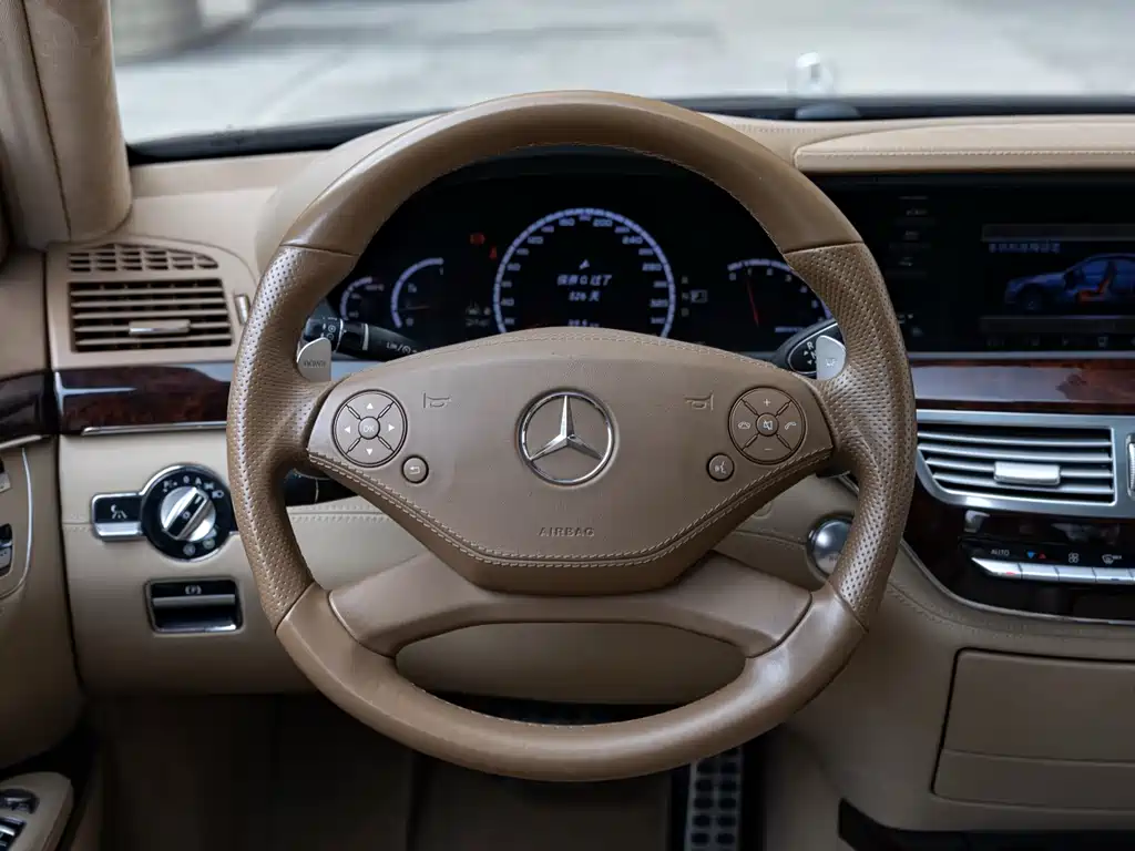Mercedes-Benz S-Class AMG AMG S 65, фото 12