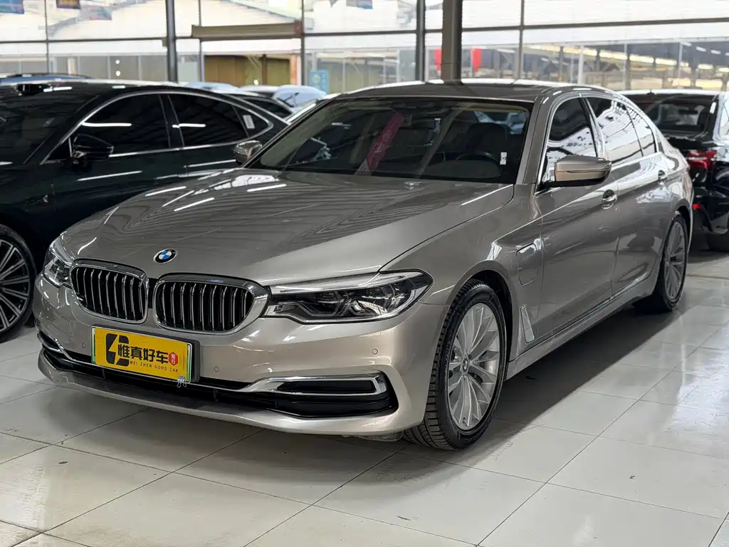 BMW 5 Series New Energy 2019